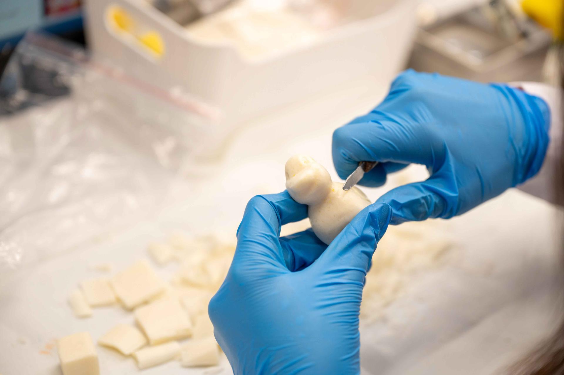 جامعة بهشة شهير