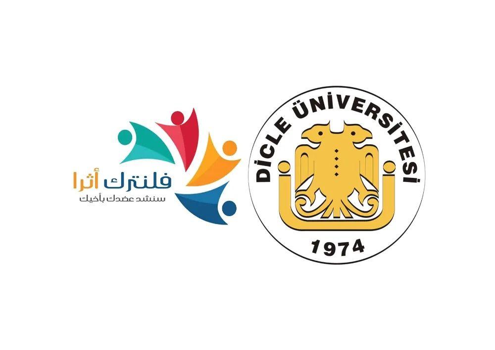 جامعة دجلة