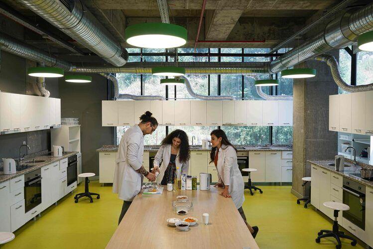 جامعة الخليج